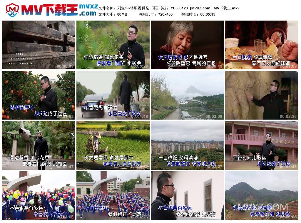 刘溢华-转眼说再见_国语_流行_YE300120